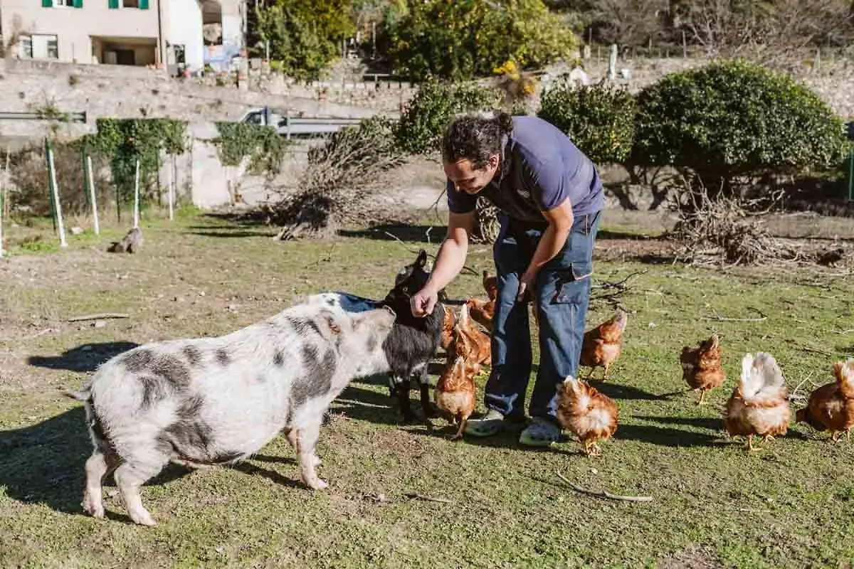 Agriturismo Il Canto Delle Rane Finale Ligure 0*,  Italy